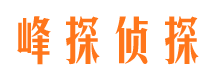 金山找人公司